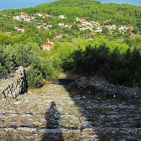 Merlo House Dol Hvar Stari Grad  Dış mekan fotoğraf